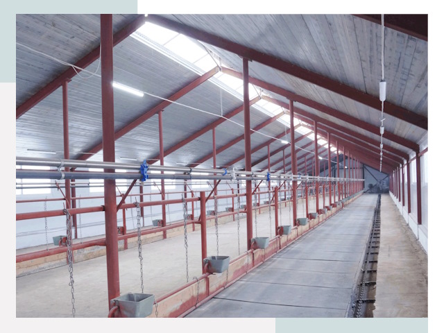 Строительство коровников в Топках от 608 руб.