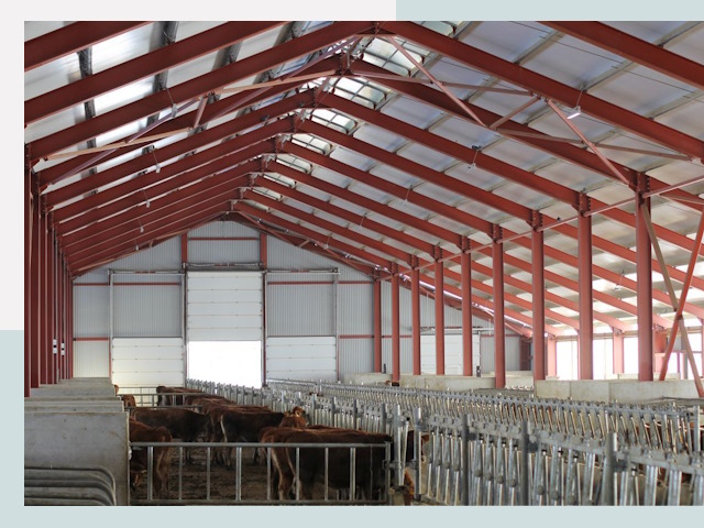 Строительство коровников в Топках